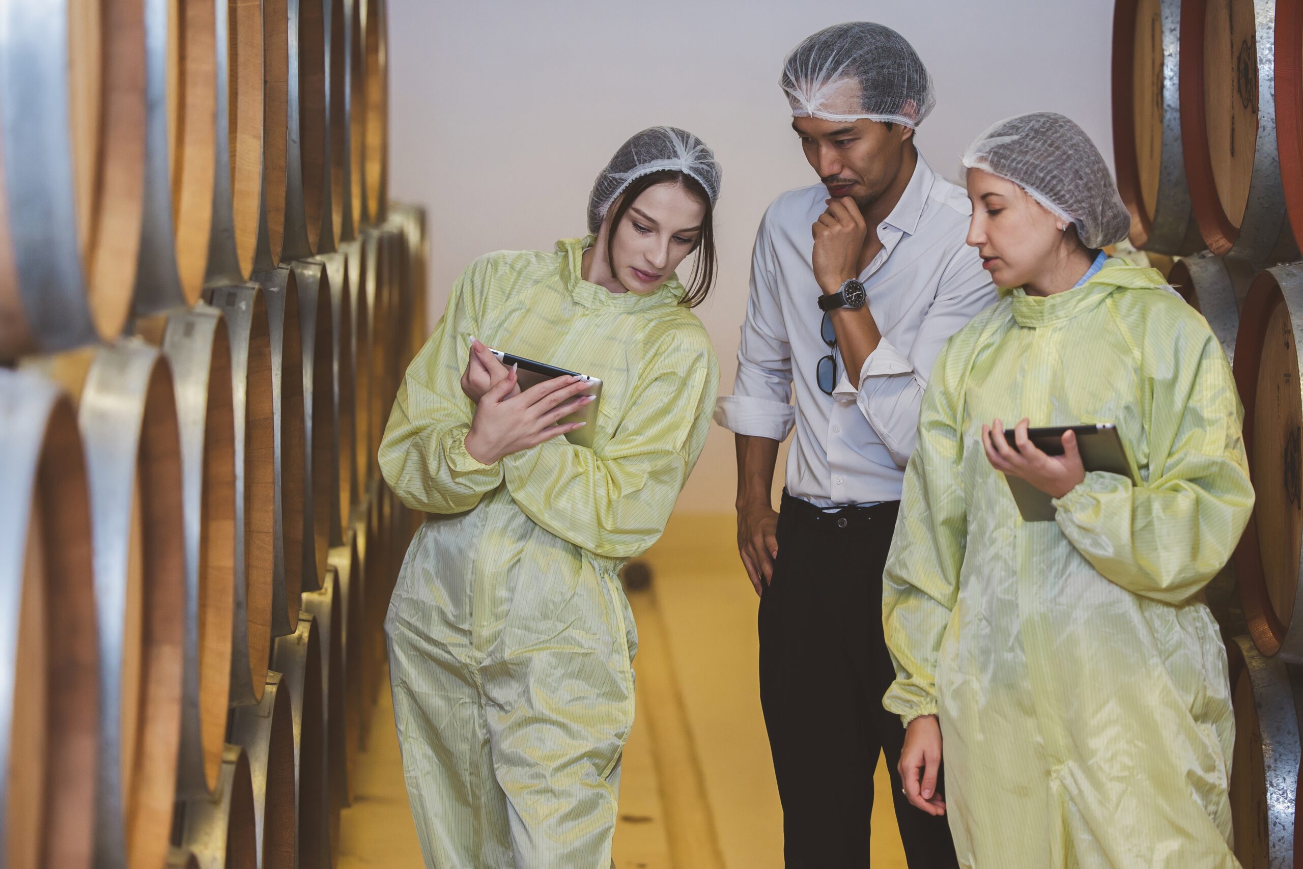 Step-by-step professional wine cellar installation process with cooling system and custom storage design